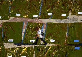 Tribute Held For DANA Victims - Valencia