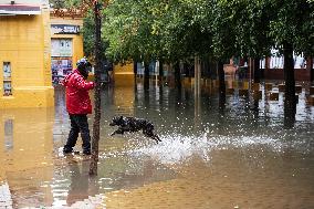 Heavy Rain and Wind in Andalusia - Spain
