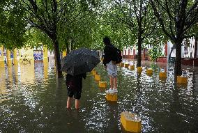 Heavy Rain and Wind in Andalusia - Spain