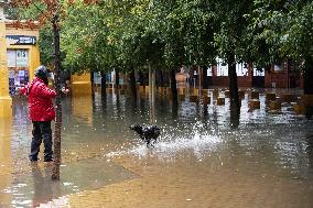 Heavy Rain and Wind in Andalusia - Spain