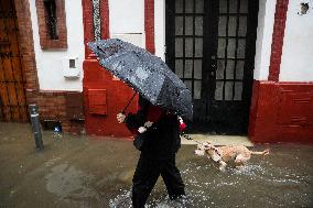 Heavy Rain and Wind in Andalusia - Spain