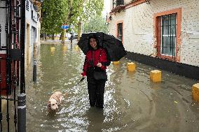 Heavy Rain and Wind in Andalusia - Spain