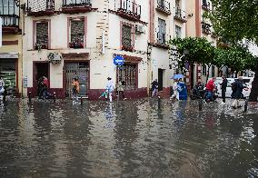 Heavy Rain and Wind in Andalusia - Spain
