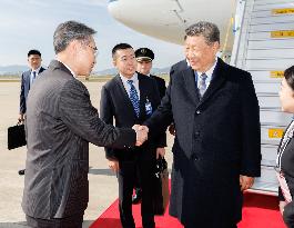 Xi Jinping Meets Trump In Busan - South Korea - Christopher