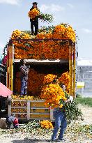 Day of the Dead Market In Mexico City - Mexico