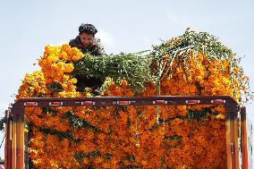 Day of the Dead Market In Mexico City - Mexico
