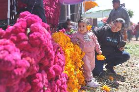 Day of the Dead Market In Mexico City - Mexico