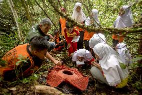 Rafflesia Education Program In West Sumatra - Indonesia