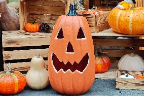 Halloween Preparations