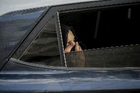 Deadly Airstrike Hits Gaza