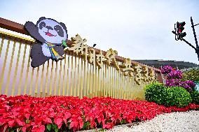 8TH CIIE Preview in Shanghai