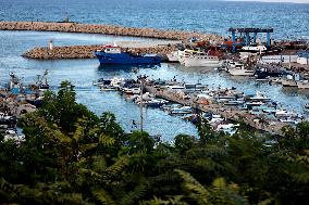 Illustration - Tipaza - Algeria