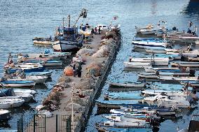 Illustration - Tipaza - Algeria