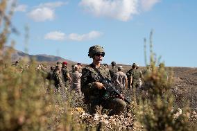 The Army Conducts Robotic Exercises - Spain