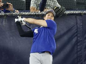 Baseball: World Series