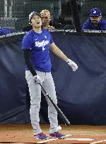 Baseball: World Series