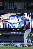 Baseball: World Series