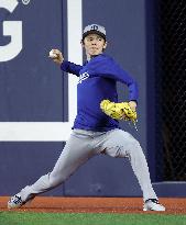 Baseball: World Series