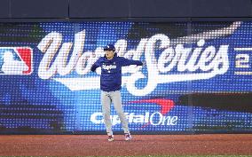 Baseball: World Series