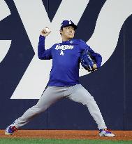 Baseball: World Series