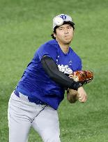 Baseball: World Series