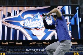 Baseball: World Series