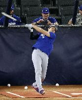 Baseball: World Series