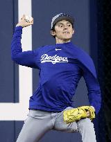 Baseball: World Series