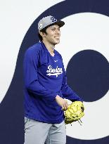 Baseball: World Series