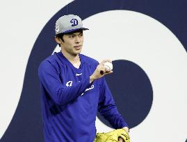 Baseball: World Series