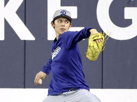 Baseball: World Series