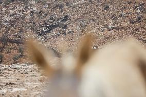 Hebron Area Village Faces Demolition
