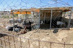 Hebron Area Village Faces Demolition