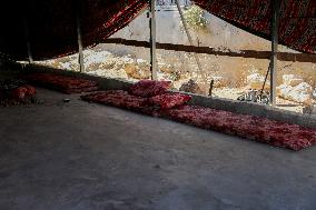 Hebron Area Village Faces Demolition