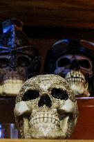 Halloween Illustrations - Ghent