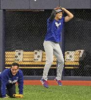 Baseball: World Series