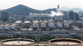 Wanhua Chemical Revenue Increased