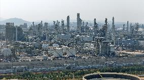 Wanhua Chemical Revenue Increased