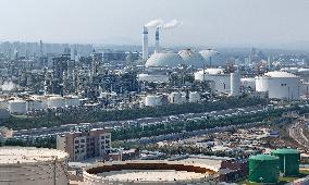 Wanhua Chemical Revenue Increased