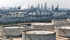 Wanhua Chemical Revenue Increased