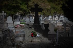 All Saints Day at the Almudena Cemetery - Spain