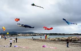 Vive Le Vent Festival - Six Fours Les Plages