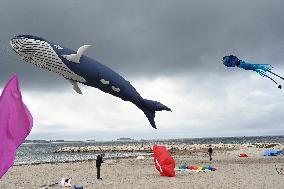 Vive Le Vent Festival - Six Fours Les Plages