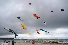 Vive Le Vent Festival - Six Fours Les Plages