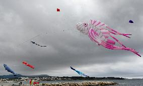 Vive Le Vent Festival - Six Fours Les Plages