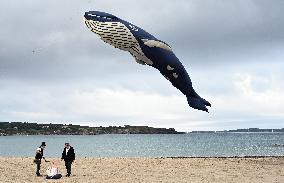 Vive Le Vent Festival - Six Fours Les Plages