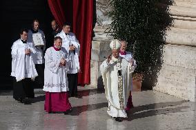 Pope Leo XIV Presides Mass - Rome