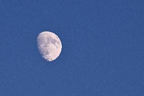 CALCIO - Serie A - SSC Napoli vs Como 1907