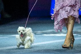 5th PETJOY FASHIION WEEK in Shanghai