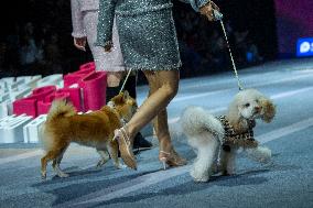 5th PETJOY FASHIION WEEK in Shanghai
